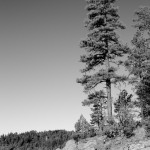 Volunteer Canyon, Arizona